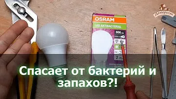 Osram Antibacterial 8.5 Вт E27 - лампа против запахов и бактерий!
