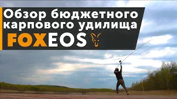 Карпфишинг TV :: Обзор бюджетного карпового удилища FOX EOS 13 ft 3,5 lb